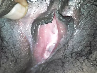 اس کی روسی بلی میرے آلے کے لئے تیار ہے