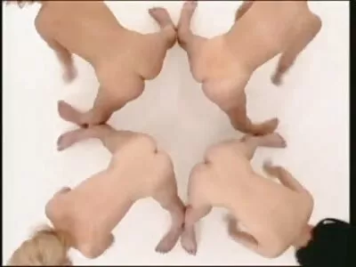 ایک سلٹ ایک سخت مرغ پر سوار ہے۔